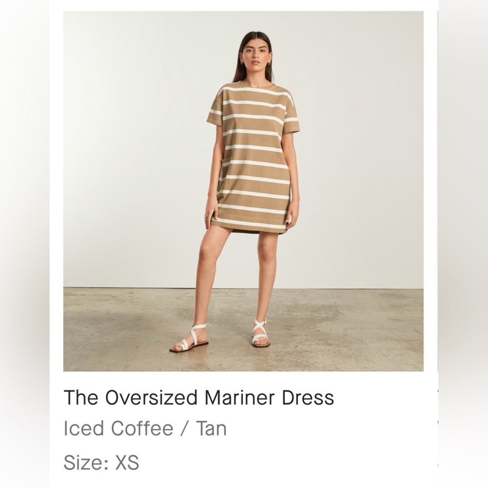 Everlane Brown and Tan Raglan Mini Dress